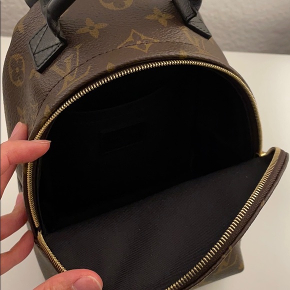 Louis Vuitton Palm Springs Mini - Picture 5 of 8